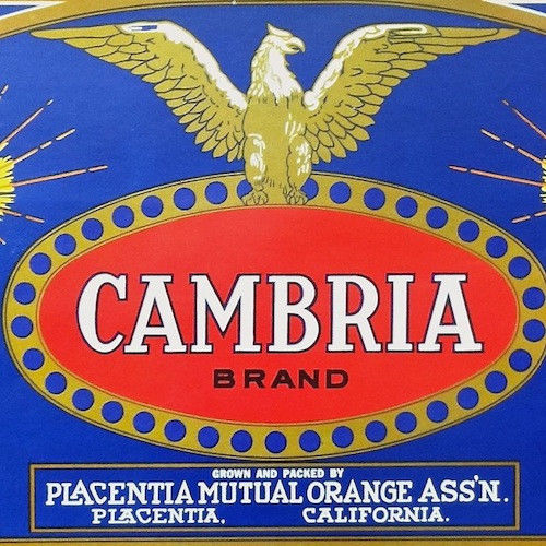 CAMBRIA Fruit Crate Box Label 1940s
