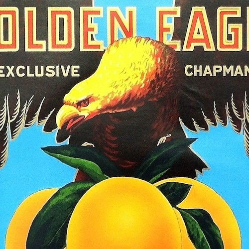 GOLDEN EAGLE Citrus Orange SUNKIST Crate Box Label