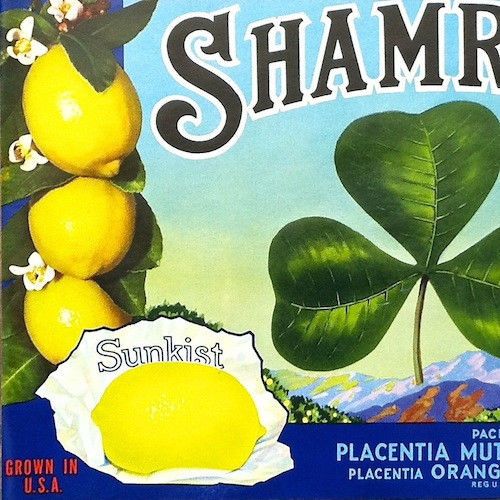 SHAMROCK SUNKIST LEMON Citrus Crate Box Label 1930s