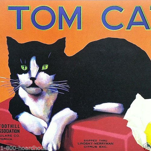 TOM CAT Citrus Crate Box Labels 1970s