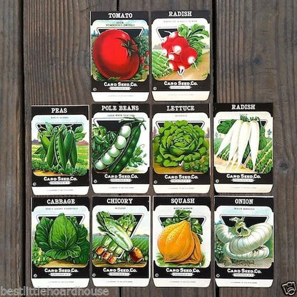 VEGETABLE SEED PACKS Set G Garden Collection 1920's