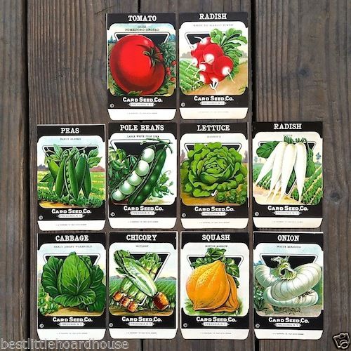 VEGETABLE SEED PACKS Set G Garden Collection 1920's