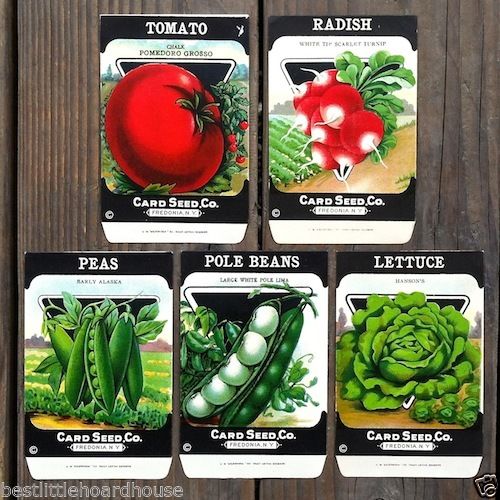 VEGETABLE SEED PACKS Set G Garden Collection 1920's