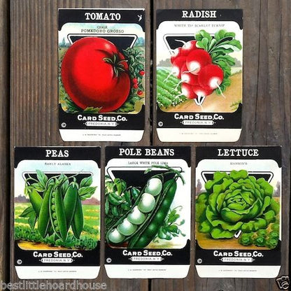 VEGETABLE SEED PACKS Set G Garden Collection 1920's
