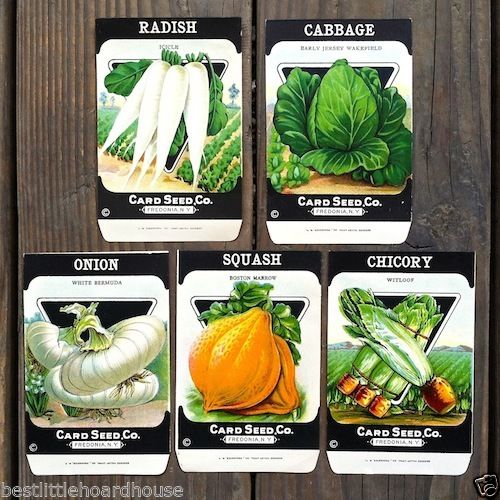 VEGETABLE SEED PACKS Set G Garden Collection 1920's