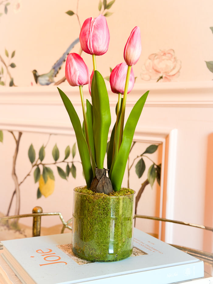 15” Tulip in Plastic Pot - Fuchsia