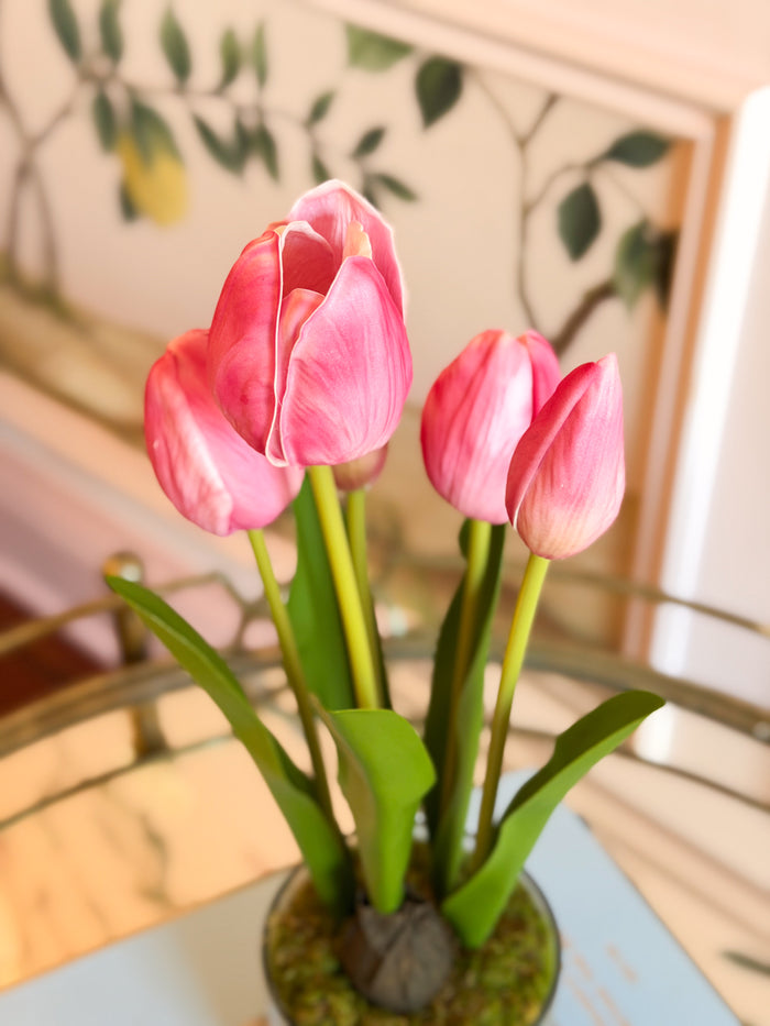 15” Tulip in Plastic Pot - Fuchsia