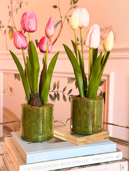 15” Tulip in Plastic Pot - Fuchsia