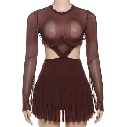 Crewneck long sleeve mesh ruched mini dress  | Festival Outfits Women