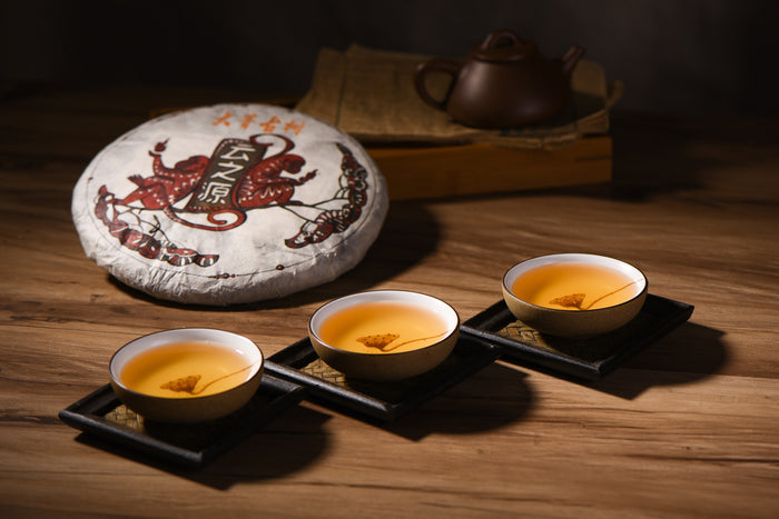 2016 Yunnan Sourcing "Autumn Da Qing Gu Shu" Raw Pu-erh Tea Cake | Yunnan Sourcing Tea Shop
