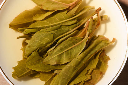 2016 Yunnan Sourcing "Autumn Ku Zhu Shan" Raw Pu-erh Tea Cake | Yunnan Sourcing Tea Shop
