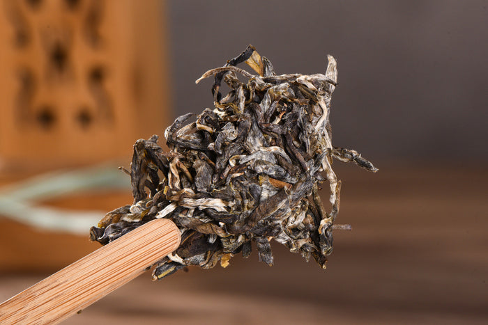 2016 Yunnan Sourcing "Autumn Ku Zhu Shan" Raw Pu-erh Tea Cake | Yunnan Sourcing Tea Shop