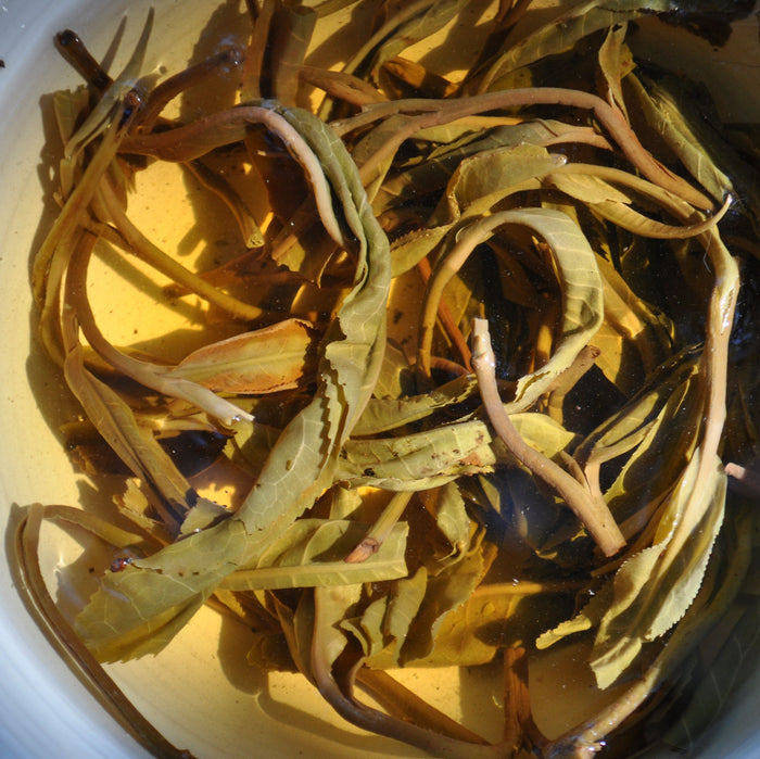 2016 Yunnan Sourcing "Autumn Wa Long Village" Yi Wu Old Arbor Raw Pu-erh Tea Cake | Yunnan Sourcing Tea Shop