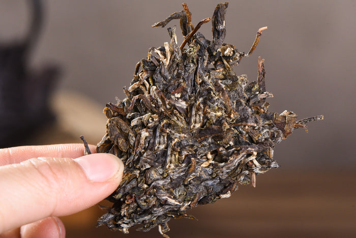 2016 Yunnan Sourcing "Autumn Ye Zhu Tang" Wild Arbor Raw Pu-erh Tea Cake | Yunnan Sourcing Tea Shop