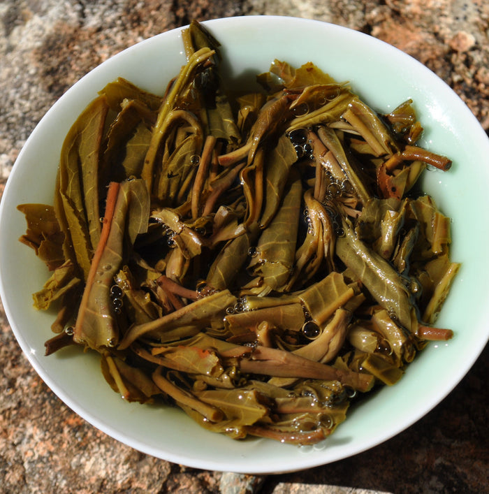 2016 Yunnan Sourcing "Guo You Lin" Raw Pu-erh Tea Cake | Yunnan Sourcing Tea Shop