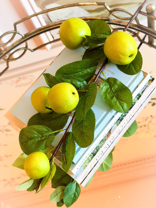 Apple Stem Bundle Of 4