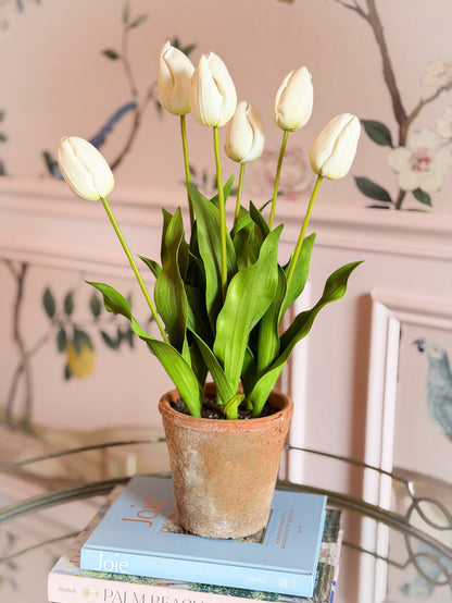 Blanc Box Tall Cream Dutch Tulip Pot-23”