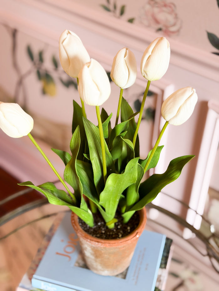 Blanc Box Tall Cream Dutch Tulip Pot-23”