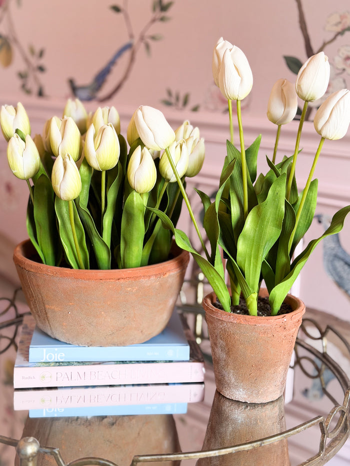 Blanc Box Tall Cream Dutch Tulip Pot-23”