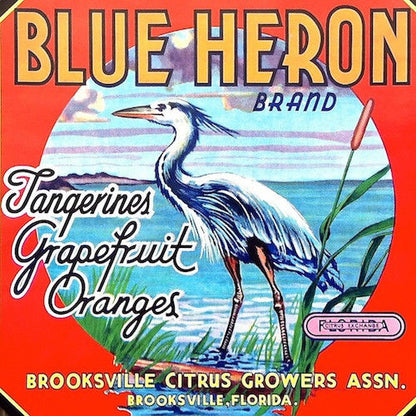 BLUE HERON Citrus Fruit Crate Box Label 1930s