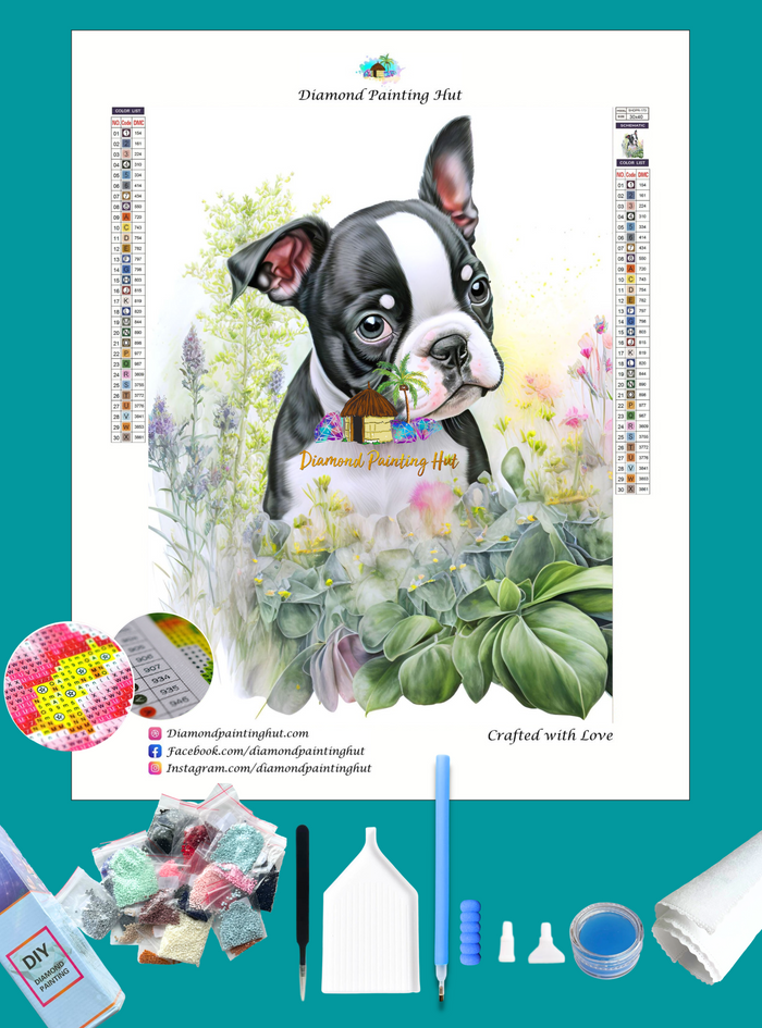 Boston and Flowers Diamond Painting