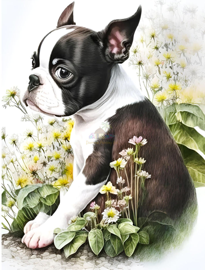 Boston and Flowers Diamond Painting-Diamond Painting Hut