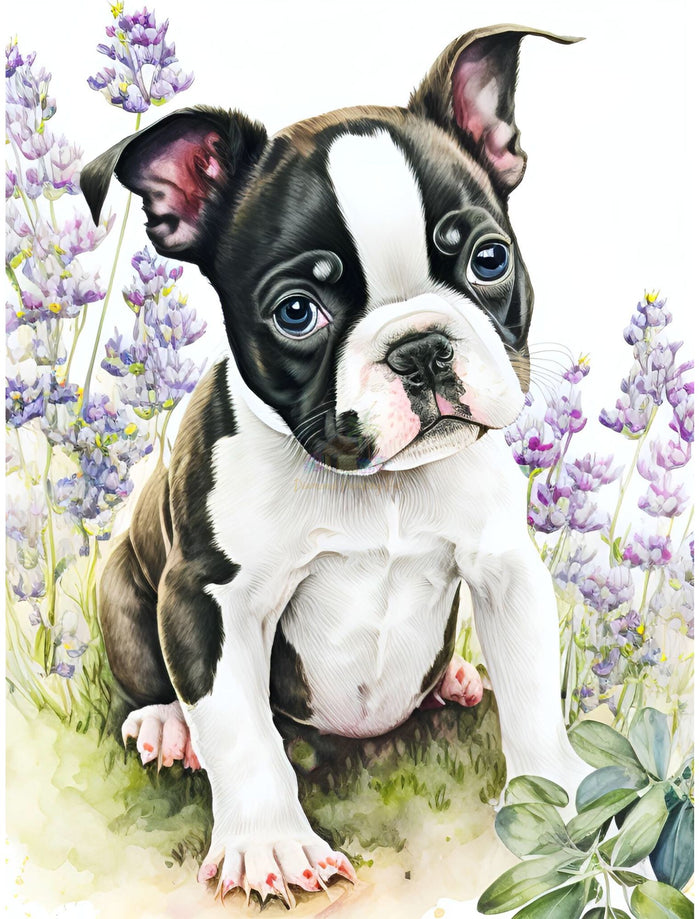 Boston and Flowers Diamond Painting-Diamond Painting Hut