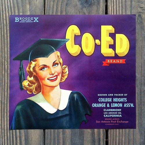CO-ED Citrus Crate Box Label