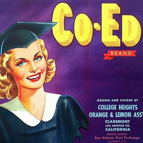 CO-ED Citrus Crate Box Label