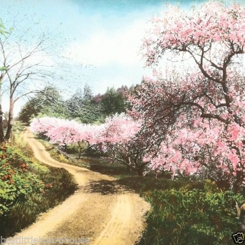 DECKED AS A BRIDE Wallace Nutting Art Lithograph Print 1940s