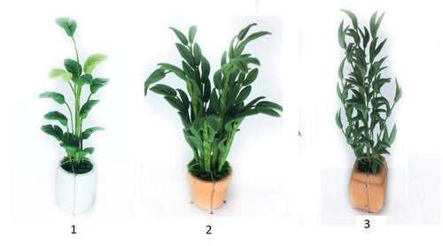 Dollhouse Potted Palm Plant Choice