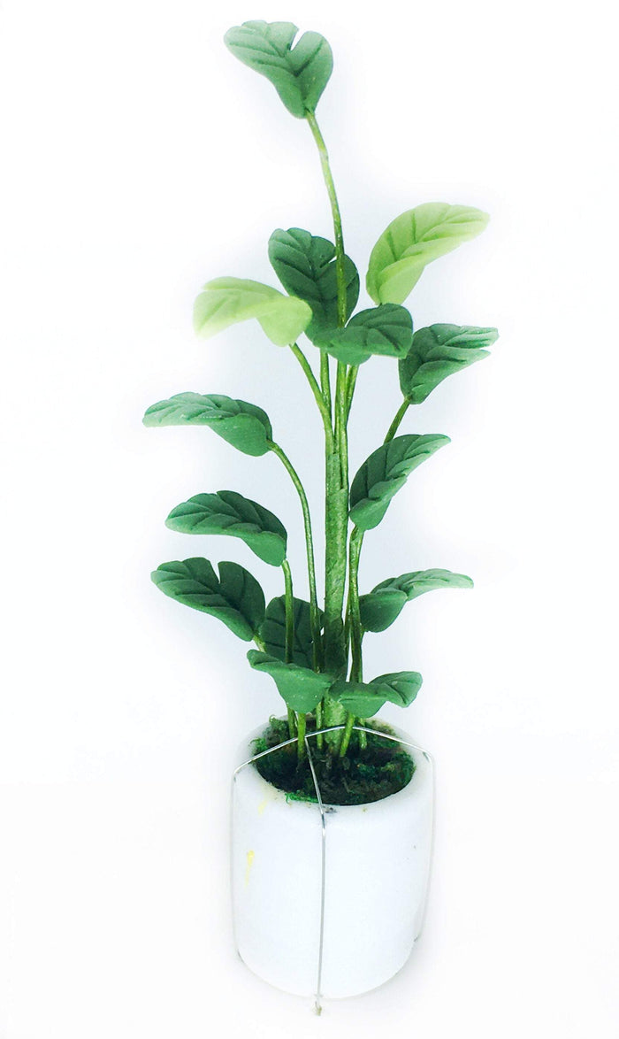 Dollhouse Potted Palm Plant Choice