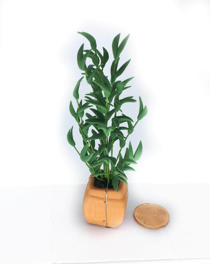 Dollhouse Potted Palm Plant Choice