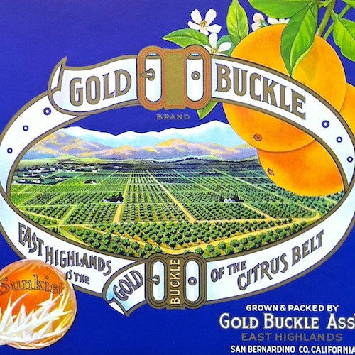 GOLD BUCKLE SUNKIST Orange Crate Box Label