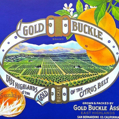 GOLD BUCKLE SUNKIST Orange Crate Box Label