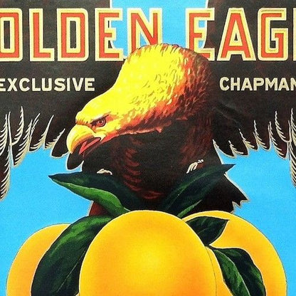 GOLDEN EAGLE Citrus Orange SUNKIST Crate Box Label