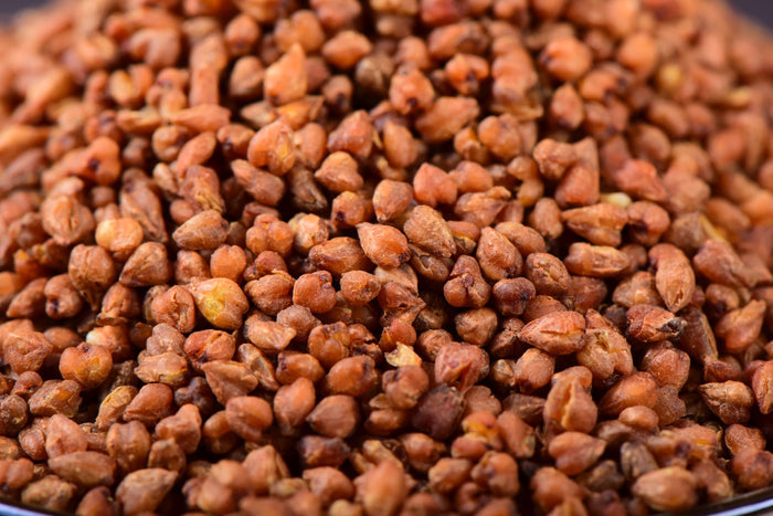 Himalayan Black Tartary Buckwheat Roasted Tea * Fagopyrum tataricum | Yunnan Sourcing Tea Shop