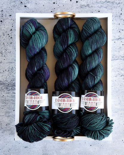 Destination Yarn DK Weight Yarn Souvenir Hoia-Baciu Forest