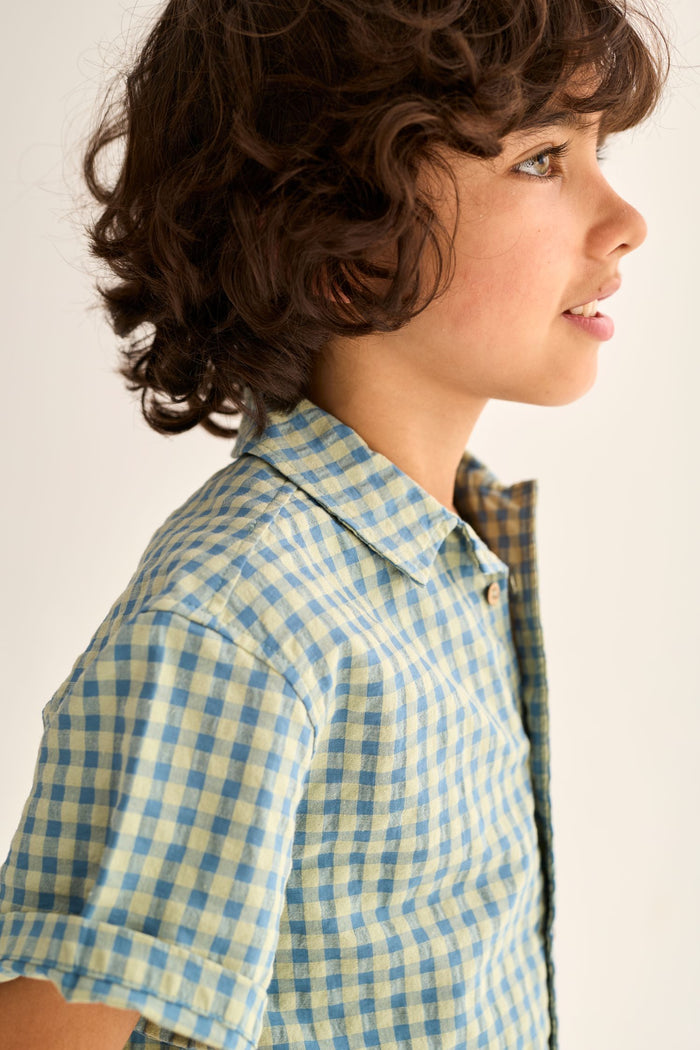 Jay Shirt Blue Gingham
