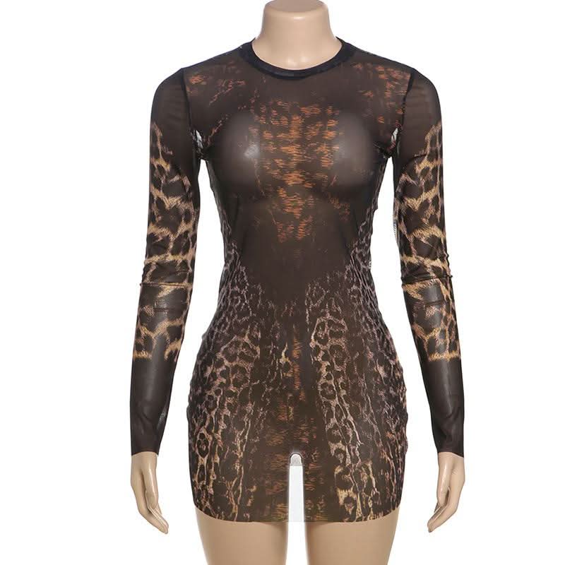 Crewneck long sleeve leopard print mesh mini dress  | Festival Outfits Women  | Leopard Print Mini Dress