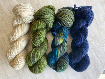 Destination Yarn DK Weight Yarn Loch Lomond Set