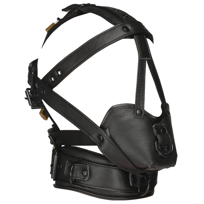 Lockable Head Harness with Muzzle