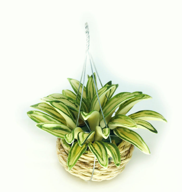 Miniature Dollhouse Artificial Hanging Starburst Plant Basket