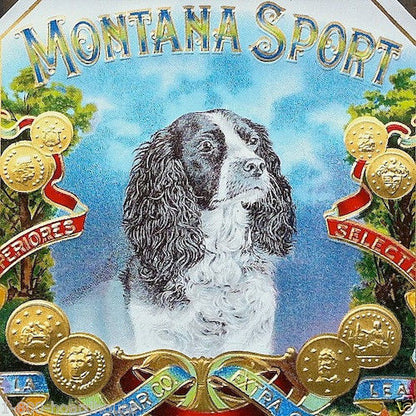 MONTANA SPORT Cigar Tobacco Label 1901