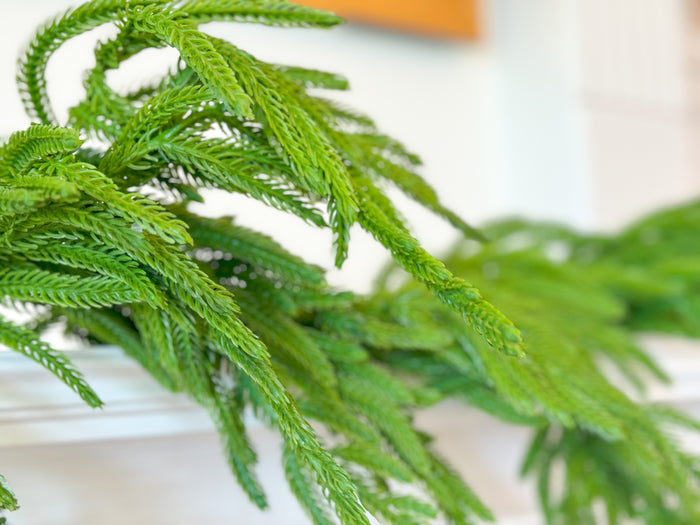 Norfolk Pine Garland
