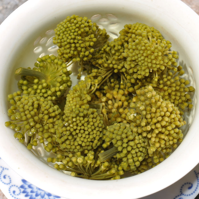 Panax Noto Ginseng Flower * San Qi Hua | Yunnan Sourcing Tea Shop