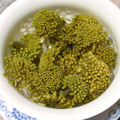 Panax Noto Ginseng Flower * San Qi Hua | Yunnan Sourcing Tea Shop