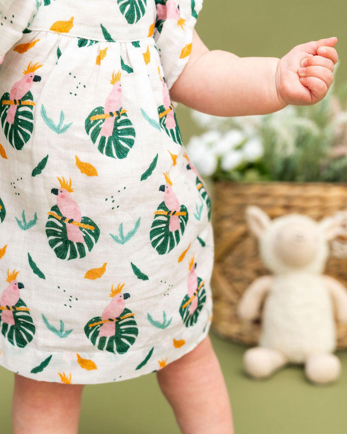 Parrot Ruffle Sleeve Baby Dress + Bloomer Set (Organic Muslin)
