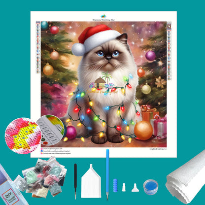 Ragdoll Cat Diamond Painting