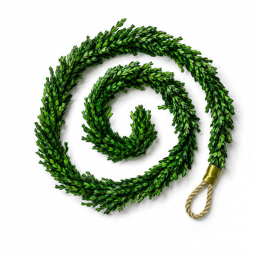 Richland Preserved Boxwood Garland 70" Set of 4
